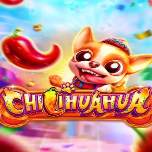Explore o Fascinante Mundo do CHILIHUAHUA